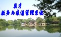 查看詳情
